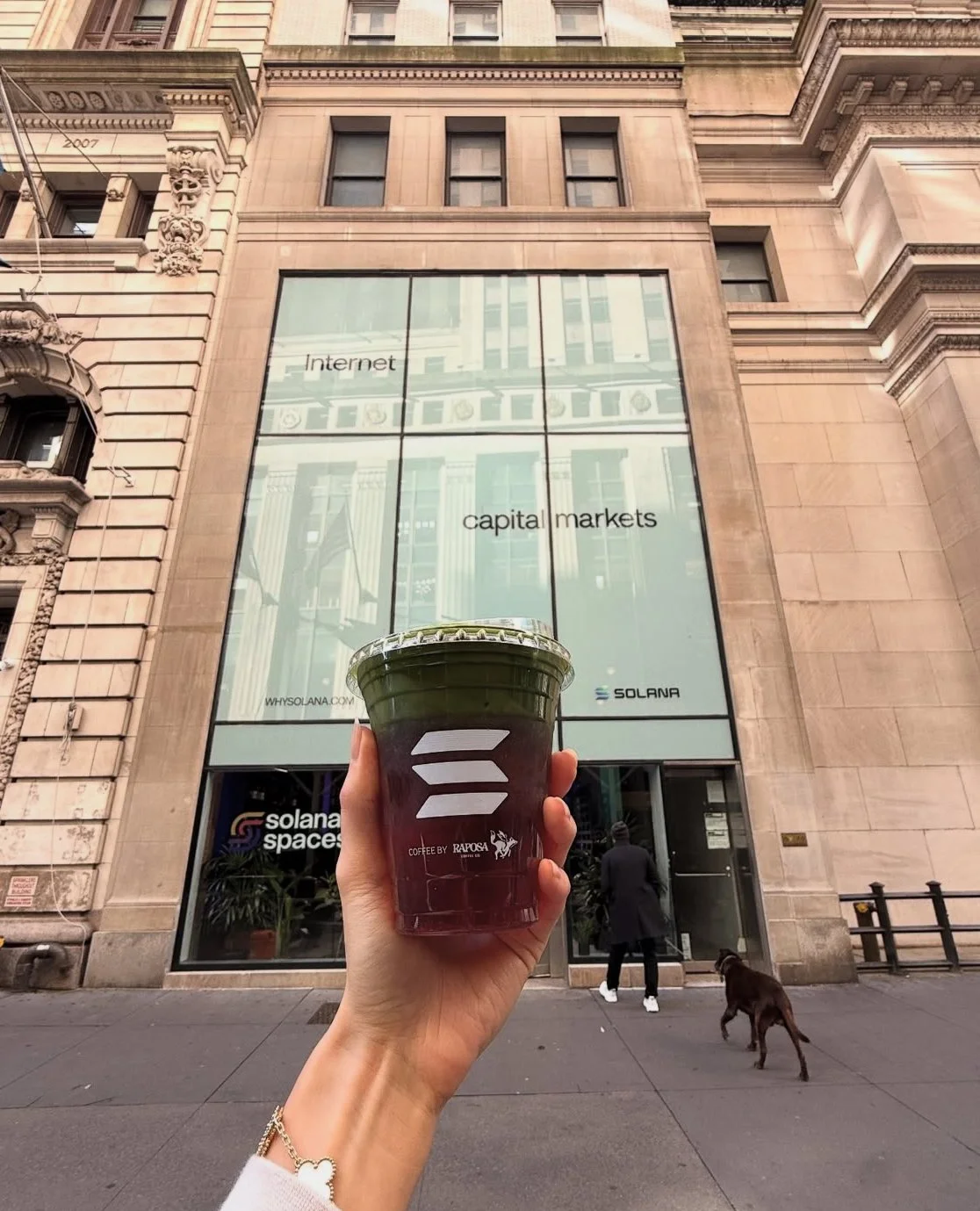 great library of solana cold foil 美品 Screenshot+2025-10-29+at+10.40